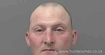 Hull career criminal who started using cannabis aged ten jailed for catalogue of burglaries and thefts