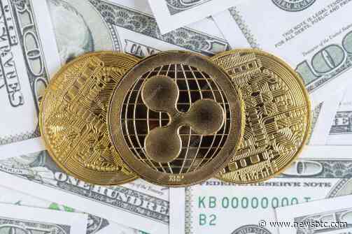 XRP Hits $0.6 In Unstoppable Surge: How High Can It Go This November?