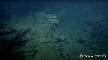 Technology aims to sequester carbon deep in the ocean off B.C. coast