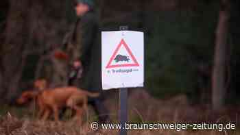Wanderer sollten den Wald meiden: Um Osterode wird gejagt