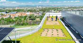 The Ultra-Efficient Farm of the Future Is in the Sky