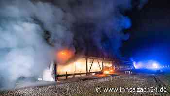 Brand in Geflügelstall weitet sich auf Fassade aus – Polizei: „Konkrete Hinweise auf Brandstiftung“