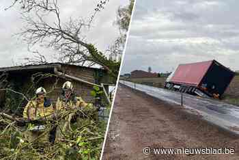 OVERZICHT. Veel schade door storm Ciarán: een overzicht per provincie