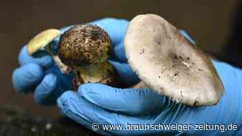 Ihr Mittagessen brachte den Tod: Mordanklage gegen Köchin