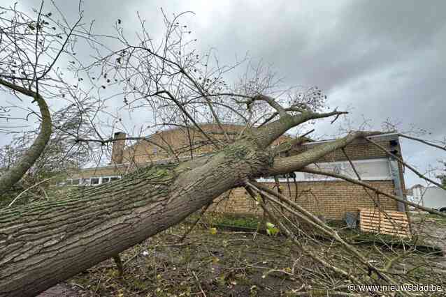 Boom valt op dak sportcomplex Assebroek tijdens doortocht storm: “Voorlopig valt schade overal mee”