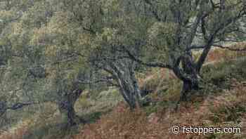 Dealing With Rain in Landscape Photography