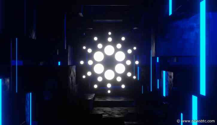 Cardano November Momentum – An Over 40% Increase In The Cards?