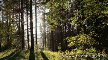 Mutter (†46) aus Bayern wird bei Sturm im Harz von Baum erschlagen