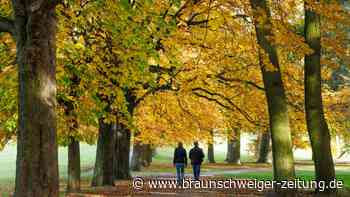 Goldener Herbst verzaubert Braunschweig