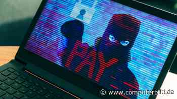 BSI warnt vor Gefahrenlage durch Cyberkriminalität