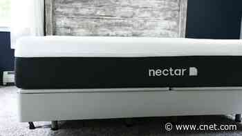 Best Twin Mattress in 2023     - CNET