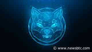 Shiba Inu Whales Are Moving SHIB Again, Bearish Or Bullish?