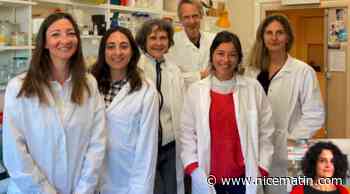 Le gène à l'origine du développement sexuel féminin découvert à Nice