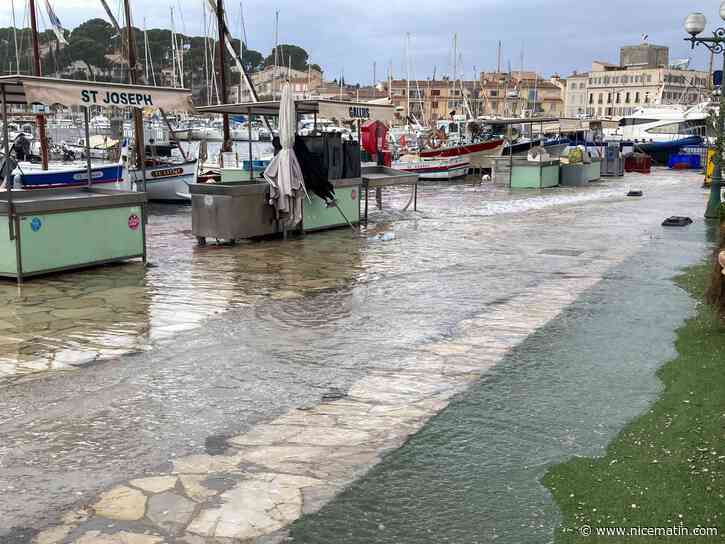 Tempête Ciaran: au moins deux morts et 16 blessés, 820.000 foyers toujours dans le noir... suivez notre direct