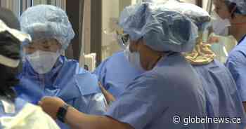 43 nurses from the Philippines arrived in Sask. for clinical training