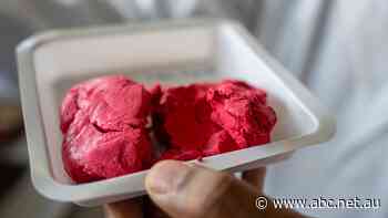 This isn't playdough — it's old clothing. And scientists say it could help solve Australia's fashion waste problem