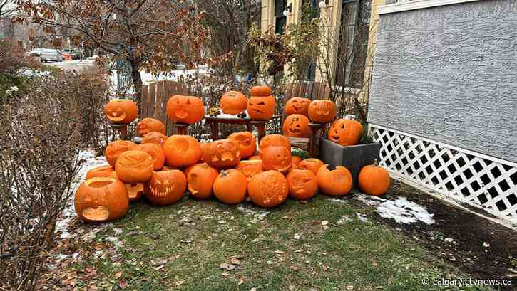 Northwest Calgary resident collects unwanted pumpkins to feed abandoned farm animals