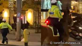 Video shows officer chasing after police horse that bolted in downtown Toronto