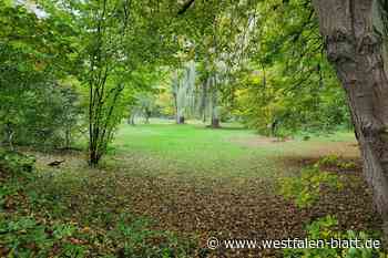 Skateanlage: Archäologen weisen auf uralten Bestattungsplatz hin