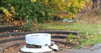 Century-old spring in Algonquin's Towne Park to be restored