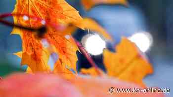 Wann darf ich die Nebelschlussleuchte benutzen?