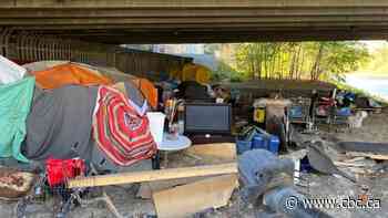 Winnipeg to delegate some responsibility to ensure checks on homeless encampments continue
