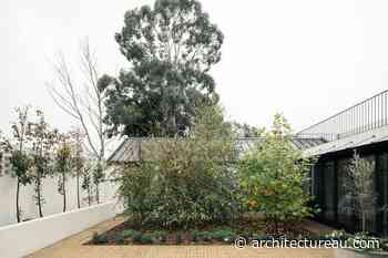 Armidale Residence by Richards Stanisich