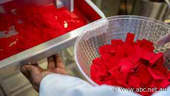 It's no silver bullet, but scientists have found a novel way to solve one of Australia's biggest waste problems