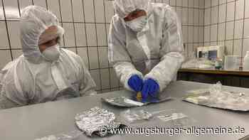 Forscher finden nahe Ulm Wollnashorn-DNA in fossilem Hyänen-Kot