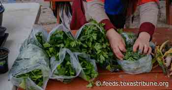 Do Texans have the “right to farm?” Voters will decide with Proposition 1.