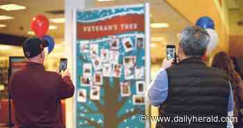 Personalized tributes to veterans grow in 'tree' at Arlington Heights library