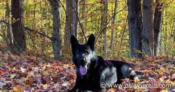 Facing long road to recovery, injured Kane County sheriff's detective remains positive