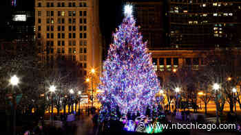 Chicago's official Christmas tree has been chosen. See it here