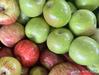 Fall for apples in the Triangle: Orchards, cider and candy apples