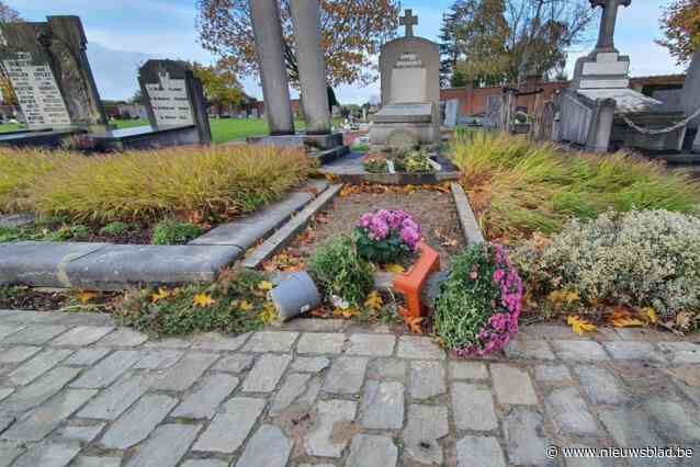 Weggevlogen bloemstukken, omgevallen vazen en afgerukte takken: bezoekers ruimen spontaan mee stormschade op op begraafplaats Halle