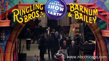 Ringling Bros. Circus tour brings new kind of circus show to Chicago area this weekend
