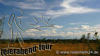 Die größte Feuchtlandschaft Österreichs: Hinein ins Ibmer Moor 