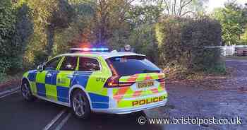 Boy dies and second in hospital after car ploughs into them on school run