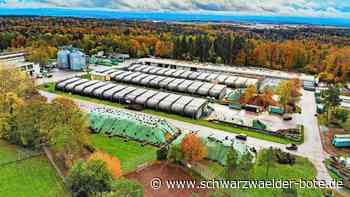 Orts-Check Kreis Calw: Bei der Sauberkeit gibt es wenig zu meckern