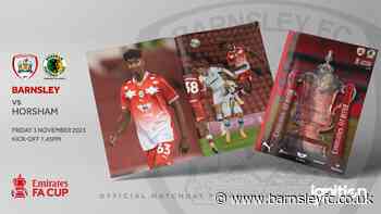 OAKWELL REVIEW | HORSHAM