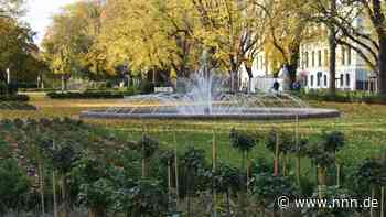 Rostocks Rosengarten wurde umgestaltet – war das überhaupt notwendig? 🌹
