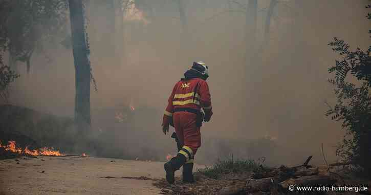 Großer Waldbrand im Osten Spaniens