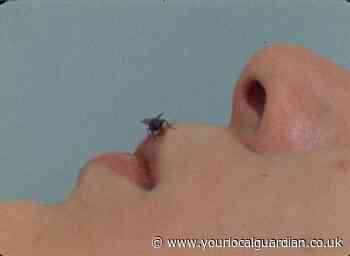 Tate Modern exhibition looks at pioneering conceptual artist