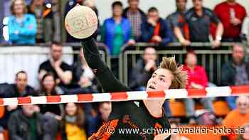 Vor dem Saisonstart: So steht es um die Bundesligisten aus der Region