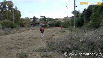 VIDEO | Roma ritrova Campo Testaccio: volontari all'opera per pulire l'area. L'assessore racconta come risorgerà