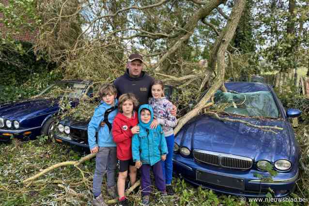 “Nooit gedacht dat schade zo erg zou zijn”: Gigantische treurwilg kraakt onder storm Ciarán enlandt op privécollectie Jaguars van Danny (45)