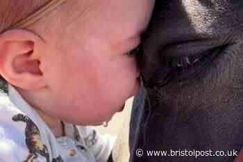 'I call my two-year-old daughter the horse whisperer - she can ride full-grown animals'