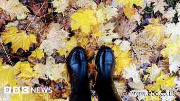 In pictures: Scotland's autumn colours