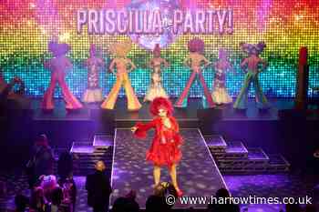 Immersive Priscilla The Party bash to launch at Outernet