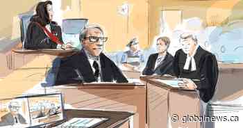 Accused in London, Ont. attack has mental health issues, expert tells trial